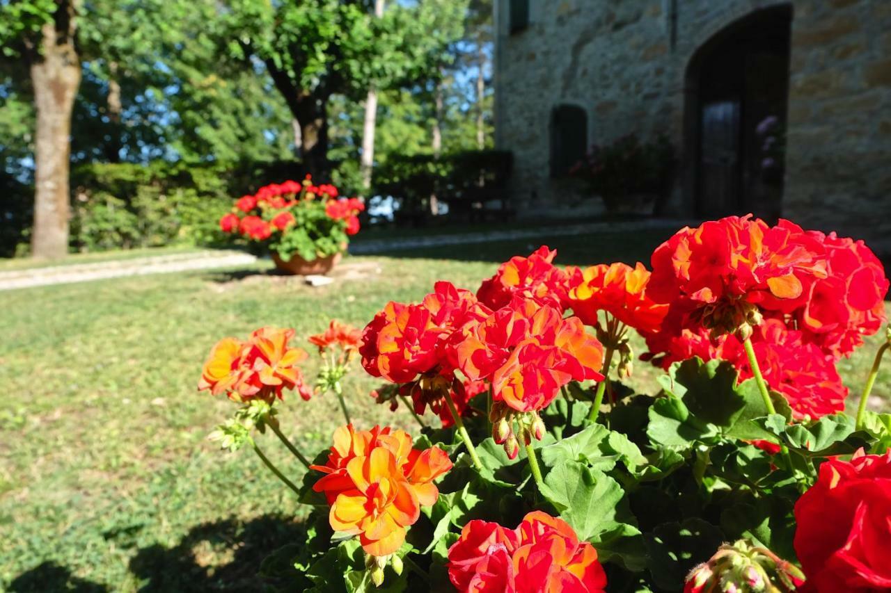 La Corte Bonomini Bed & Breakfast Neviano degli Arduini Luaran gambar